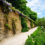 Un chemin de terre longe un grand mur de pierre recouvert de vignes vertes et de glycines violettes, avec des bancs le long du chemin - une scène invitante pour les propriétaires exigeants à la recherche d'un emplacement meublé à Lyon pour des promenades de courte durée. | 2BeApart Lyon